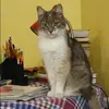 Отзыв от Нина Ларина